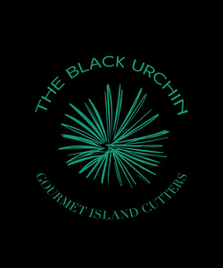 The Black Urchin